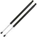Liftgate Lift Supports Gas Springs Struts Shocks For Toyota Rav4 2012-2017 