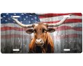 Longhorn License Plate 