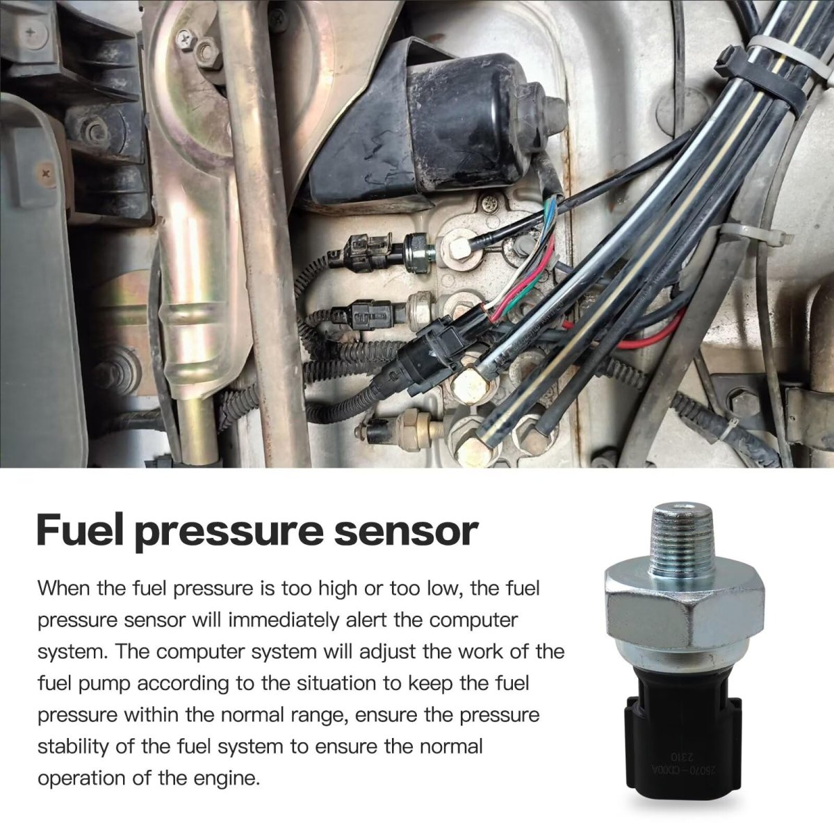 Latest Updated Oil Pressure Sensor Switch For Nissan Pathfinder 2005-2007 Replace Ps417 25070-cd00a 25070-cd000 1s6896 42cp16-2