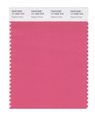 Pantone Smart 17-1929x Color Swatch Card Rapture Rose 