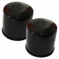 Caltric 2-pack Oil Filter For Yamaha30 Sx230 Sxt1100 H Eng 2 Ar230 Ar-230 Sxt-1100 O 1 2 2008 2009 