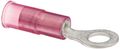 Nylon Insulated Ring Terminal 22-18 Wire Size 8 Stud 0 315 Width 827 Length 