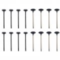 Secosautoparts Exhaust Intake Valve Kit Fit For Lexus Ct200h L4 Toyota Corolla Prius Awd-e Plug-in V 1 8l Dohc 16v 2008 2009