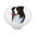 Gotham Decor Border Collie Ceramic Drawer Knob 