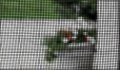 No-see-um Small Insect Screen 20 X Mesh Roll 48 Inch 25 Feet Tiny For Window Door Or Patio Screening And Replacement Charcoal