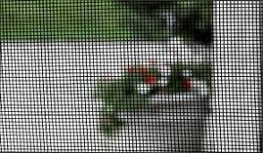No-see-um Small Insect Screen 20 X Mesh Roll 48 Inch 25 Feet Tiny For Window Door Or Patio Screening And Replacement Charcoal