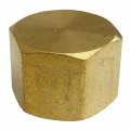 Lasco 17-9151 3 4-inch Female Pipe Thread Brass Cap 