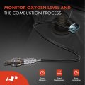 A-premium O2 Oxygen Sensor Compatible With Nissan Maxima 2000 V6 3 0l Vq30de Downstream Front Replace 226a02y901