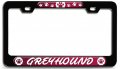 Greyhound Dogs Pets 3d Metal License Plate Frame Universal Fit For Auto Suv And Truck Tag Holder 12 In X 6 Heavy Duty Steel 