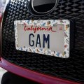 Northeastern Birds Pattern License Plate Tag Frame