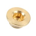 Pontiac Firebird 1998-2002 Threaded Plug Brass Natural Fine Thread
