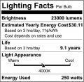 Satco S4386 Mogul Bulb In Light Finish 8 31 Inches Clear