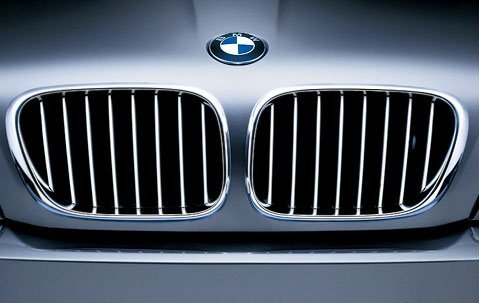 Genuine Bmw 51-13-8-250-051 Grille