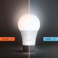 Feit Electric A21 Led Light Bulb 150w Equivalent Dimmable 2605 Lumens E26 Standard Base 5000k Daylight 80 Cri High Output Damp