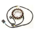 Electrosport Esg309 Stator Suzuki Dr650 