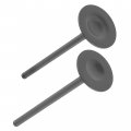 Caltric Engine Exhaust And Intake Valves Compatible With Honda Rincon 680 Trx680f 2006-2020