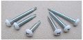 White Variety Pack Rv Fix It 8 Pan Head Screw Quad Drive Twinfast Self Tapping 