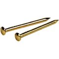 The Hillman Group 122619 Brass Plated Escutcheon Pins 5 8 X 18-inch 
