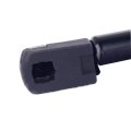 Hood And Trunk 4257 4527 Sg314021 Sg414057 Lift Supports Struts Fit For Chrysler 300m 1999-2004