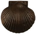 Sea Scallop Door Knocker Oiled Bronze Premium Size 