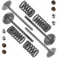 Caltric Intake And Exhaust Valve Kit Compatible With Honda Pioneer 700-4 Sxs700m4 2014-2024