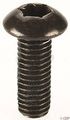 Hayes Torx-t25 Rotor Bolts 12 Pack 