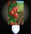 Tomato Field Decorative Nightlight 
