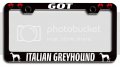 Italian Greyhound Dogs Pets Black Metal License Plate Frame Tag Holder Universal Fit For Us And Canada Vehicles 12 5 X 6 In 