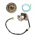 Flywheel Generator Coil With Stator Magneto 5vm-85560-00-00 2xj-85560-m1-00 Replacement For Blaster 200 Yfs200 1990-2006
