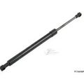 Oe Supplier 51247250308 Trunk Lid Lift Support 