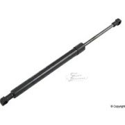 Rear Lift Support 51247250308 Black