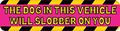 8in X 2in Dog Will Slobber Magnet Vinyl Car Truck Vehicle Bumper Magnets By Stickertalk 