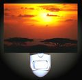 African Sunset Decorative Night Light 