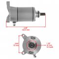 Caltric Starter Compatible With Suzuki 230 Lt-f230 Quadrunner Ltf230 230cc 1985 1986 1987