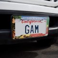Wizard Of Oz Scarecrow Character License Plate Tag Frame