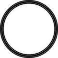 O-ring For 3 4in Housing 