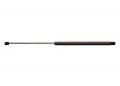 Strongarm 4381 Hood Lift Support Pack Of 1 Black 