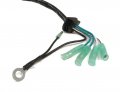 The Rop Shop Magneto Stator For 1995 Yamaha Waverunner Wrb650t Sj700t Wra650t Fx700t
