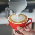 Hofason Stainless Steel Milk Frothing Pitcher Cappuccino Pouring Jug Espresso Cup Creamer For Latte Art 12 Ounce 350 Ml 