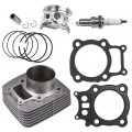 Usonline911 New Cylinder Piston Ring Gasket For 2000-2006 Honda Rancher 350 Trx350 Trx350fe 4x4