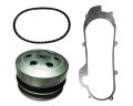 Rear Drive Clutch Kit With Belt And Gasket For Jonway Gator Agility 50 Grace 50cc Scooters Fits 10 In Wheels Short Case 4 