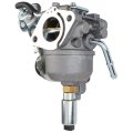 Autokay 541-0765 Carburetor For 48-2042 141-0983 141-0982 146-0774 Pwy A043b781 A041p558 Onan 5500 Grand Marquis Gold Generator