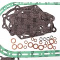 C240 C240pkj C240pkg Overhaul Gasket Set For Isuzu Engine Tcm Hyster Komatsu Forklift Truck