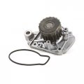 Domestic Gaskets Dg-0664440629 Timing Belt Npw Water Pump Kit Compatible With Replacement For 01-05 Honda Civic 1 7 D17a1 D17a2