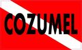 5in X 3in Cozumel Scuba Diver Down Flag Magnet Magnetic Vehicle Sign By Stickertalk 