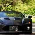 Nfmili License Plate Black Panther Wild Metal Car Aluminum Novelty Decorative Front With Screw Standard Size 12a 6 In
