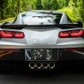 Nfmili License Plate Black Panther Wild Metal Car Aluminum Novelty Decorative Front With Screw Standard Size 12a 6 In