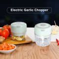 Electric Garlic Chopper Mini Large Capacity Powerful Motor 304 Stainless Steel Food Processor 250ml Green Baby Grinder