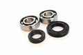 Boss Bearing Main Crank Shaft Bearings And Seals Kit Suzuki Lt-a50 2002 2003 2004 2005 