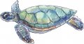 Stickertalk Left Facing Sea Turtle Vinyl Sticker 5 Inches By 3 